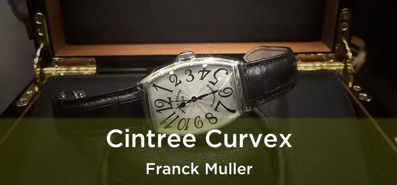  Cintree Curvex Franck Muller