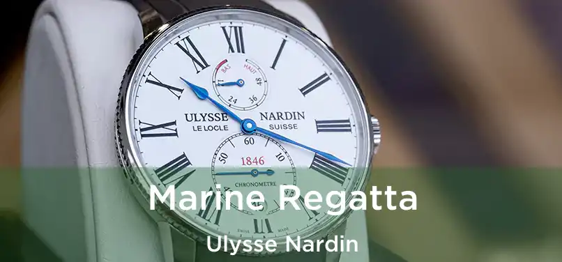  Marine Regatta Ulysse Nardin